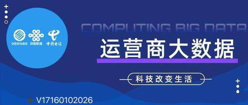 運(yùn)營(yíng)商大數(shù)據(jù)的精準(zhǔn)客戶獲取與大數(shù)據(jù)服務(wù)實(shí)踐