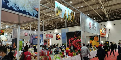 2020消費(fèi)扶貧行動(dòng) 北京農(nóng)副產(chǎn)品產(chǎn)銷(xiāo)對(duì)接會(huì)助力脫貧攻堅(jiān)